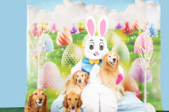2nd-Chance-Easter-march-26-2