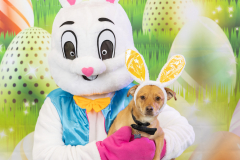 2nd-Chance-Easter-march-26-2450