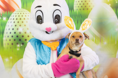2nd-Chance-Easter-march-26-2453