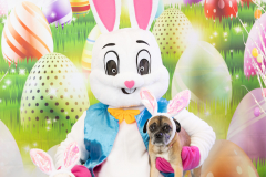 2nd-Chance-Easter-march-26-2459