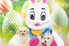 2nd-Chance-Easter-march-26-2488