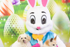 2nd-Chance-Easter-march-26-2492