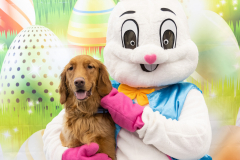 2nd-Chance-Easter-march-26-2547