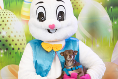 2nd-Chance-Easter-march-26-2657