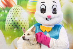 2nd-Chance-Easter-march-26-2823