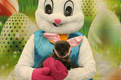Second-Chance-For-Pets-Easter-Part-1-10