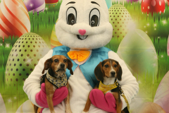 Second-Chance-For-Pets-Easter-Part-1-100