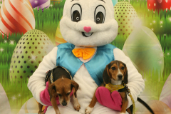Second-Chance-For-Pets-Easter-Part-1-101