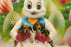 Second-Chance-For-Pets-Easter-Part-1-102