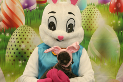 Second-Chance-For-Pets-Easter-Part-1-12