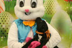 Second-Chance-For-Pets-Easter-Part-1-124
