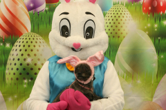 Second-Chance-For-Pets-Easter-Part-1-13