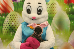 Second-Chance-For-Pets-Easter-Part-1-14
