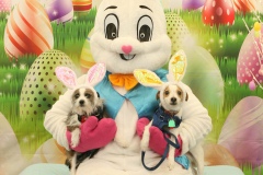 Second-Chance-For-Pets-Easter-Part-1-174