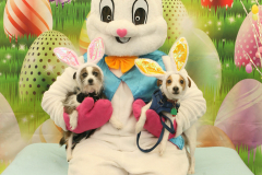 Second-Chance-For-Pets-Easter-Part-1-175