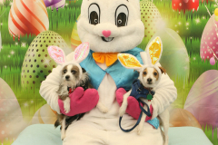 Second-Chance-For-Pets-Easter-Part-1-177