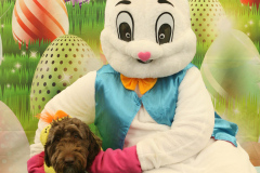 Second-Chance-For-Pets-Easter-Part-1-184