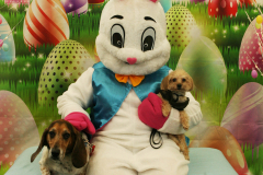 Second-Chance-For-Pets-Easter-Part-1-189