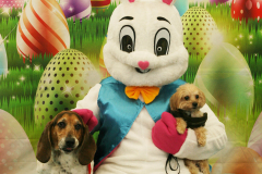 Second-Chance-For-Pets-Easter-Part-1-193