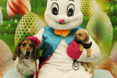 Second-Chance-For-Pets-Easter-Part-1-194