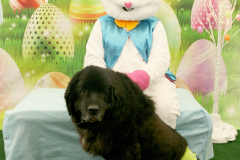 Second-Chance-For-Pets-Easter-Part-1-197