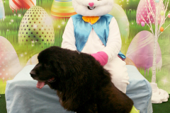 Second-Chance-For-Pets-Easter-Part-1-199