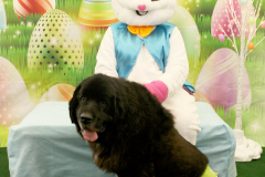Second-Chance-For-Pets-Easter-Part-1-200
