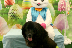 Second-Chance-For-Pets-Easter-Part-1-201
