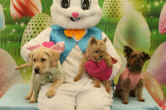 Second-Chance-For-Pets-Easter-Part-1-31