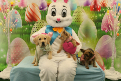 Second-Chance-For-Pets-Easter-Part-1-34