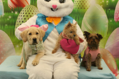 Second-Chance-For-Pets-Easter-Part-1-35
