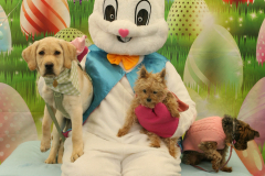 Second-Chance-For-Pets-Easter-Part-1-36