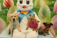 Second-Chance-For-Pets-Easter-Part-1-37