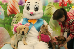 Second-Chance-For-Pets-Easter-Part-1-38