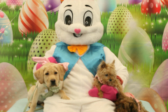 Second-Chance-For-Pets-Easter-Part-1-39