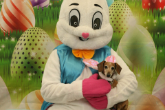 Second-Chance-For-Pets-Easter-Part-1-4