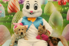 Second-Chance-For-Pets-Easter-Part-1-40