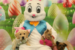 Second-Chance-For-Pets-Easter-Part-1-41