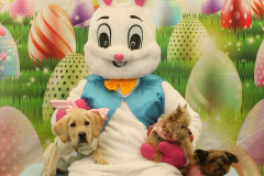 Second-Chance-For-Pets-Easter-Part-1-42