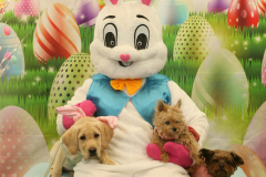 Second-Chance-For-Pets-Easter-Part-1-43