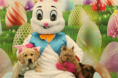 Second-Chance-For-Pets-Easter-Part-1-44