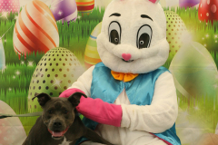 Second-Chance-For-Pets-Easter-Part-1-45