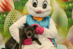 Second-Chance-For-Pets-Easter-Part-1-46