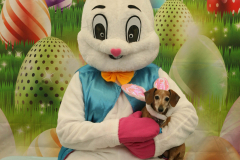 Second-Chance-For-Pets-Easter-Part-1-5