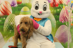 Second-Chance-For-Pets-Easter-Part-1-50