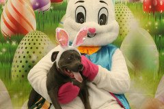 Second-Chance-For-Pets-Easter-Part-1-51