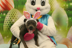 Second-Chance-For-Pets-Easter-Part-1-52