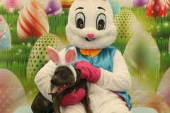 Second-Chance-For-Pets-Easter-Part-1-53