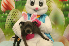 Second-Chance-For-Pets-Easter-Part-1-54