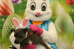 Second-Chance-For-Pets-Easter-Part-1-55